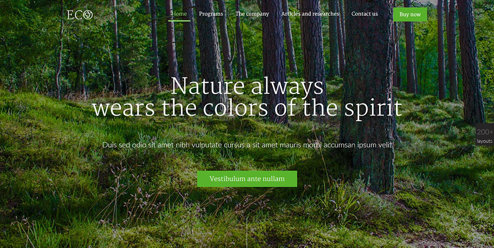 eco Designing for a Small Business? Check Out These New Pre-Built Websites