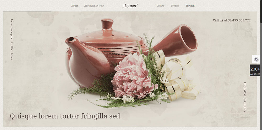 flower Brilliant Stock Photo Resources You’ll Definitely Want to Use from Now On