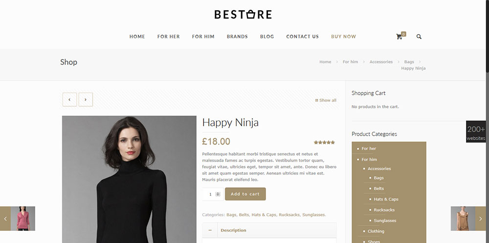 store_happy-ninja How to Research and Create a Web Design Persona