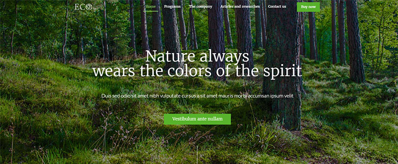 12 Trends in Web Design: Making the Most of Your Hero Image
