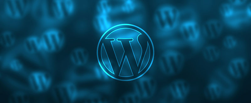 2 Why Should You Use a Premium WordPress Theme?