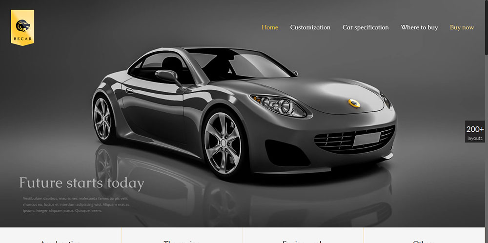 3 Why Should You Use a Premium WordPress Theme?