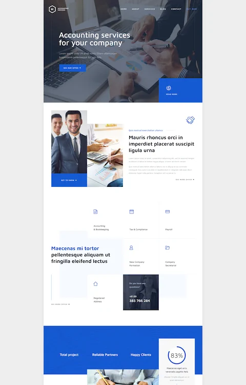 Accountant 2