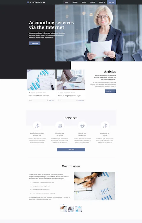 Accountant 3