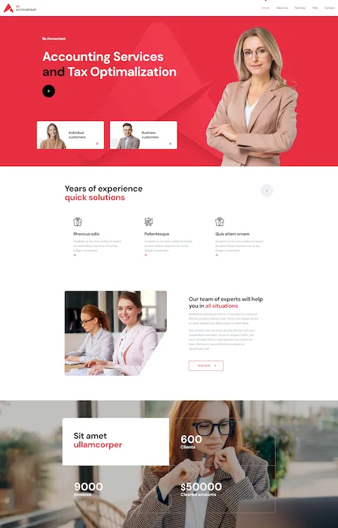 Accountant 4