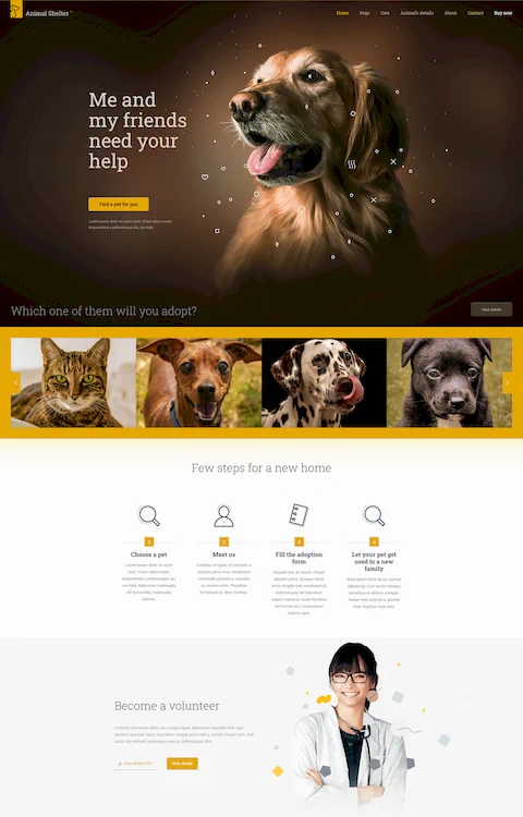 Animal Shelter