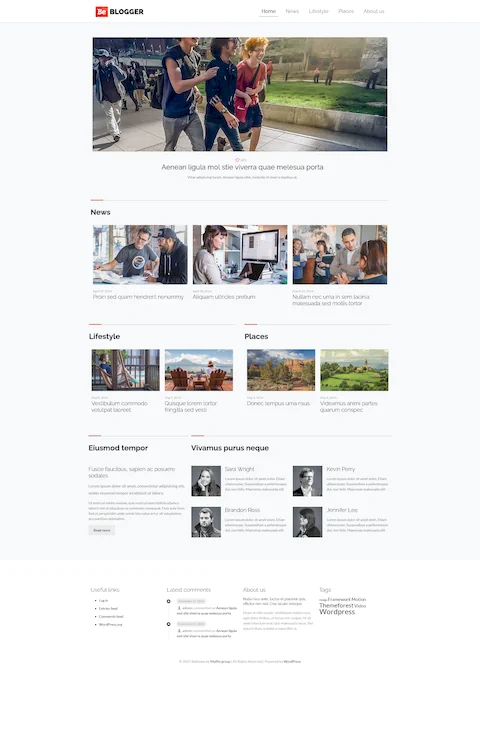 Blogger 2