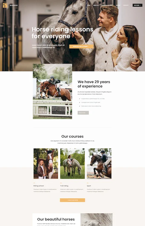 Horse 2