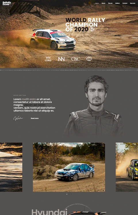 Rally Driver