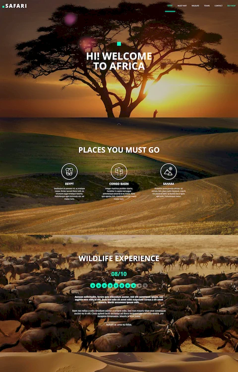 Safari