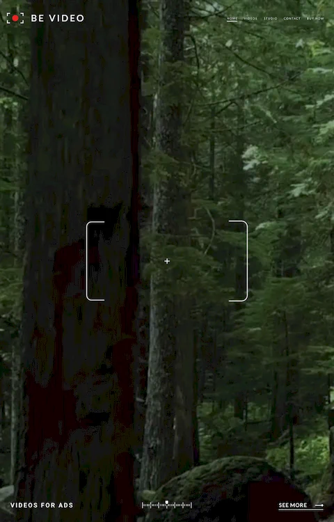 Video 3