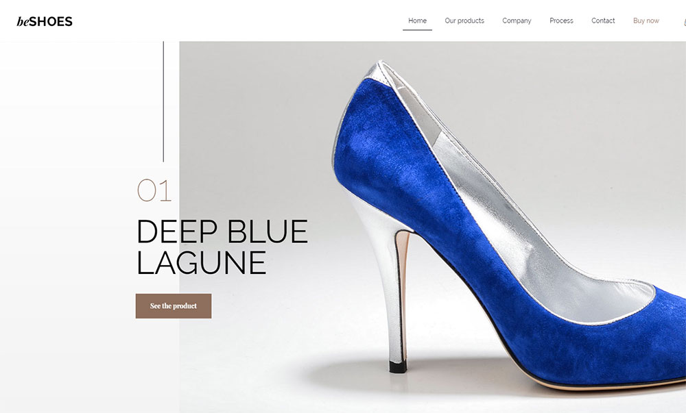 beshoe WordPress eCommerce plugins you should consider