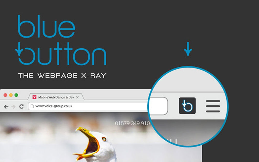 bluebutton Google Chrome plugins and extensions for designers