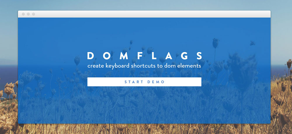 domflags-1 Google Chrome plugins and extensions for designers