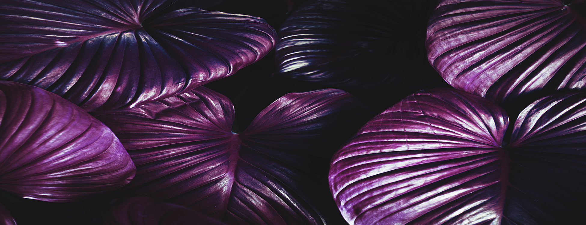 parallax background
