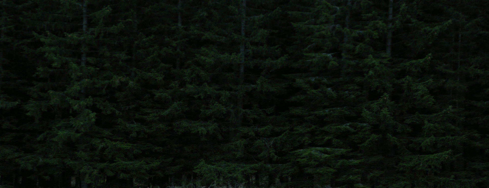 parallax background