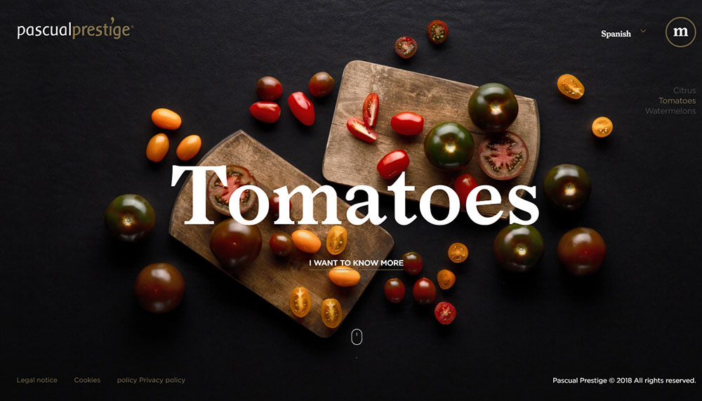 HQ Where to Get A Cool Website Header Image and Tips for Choosing One