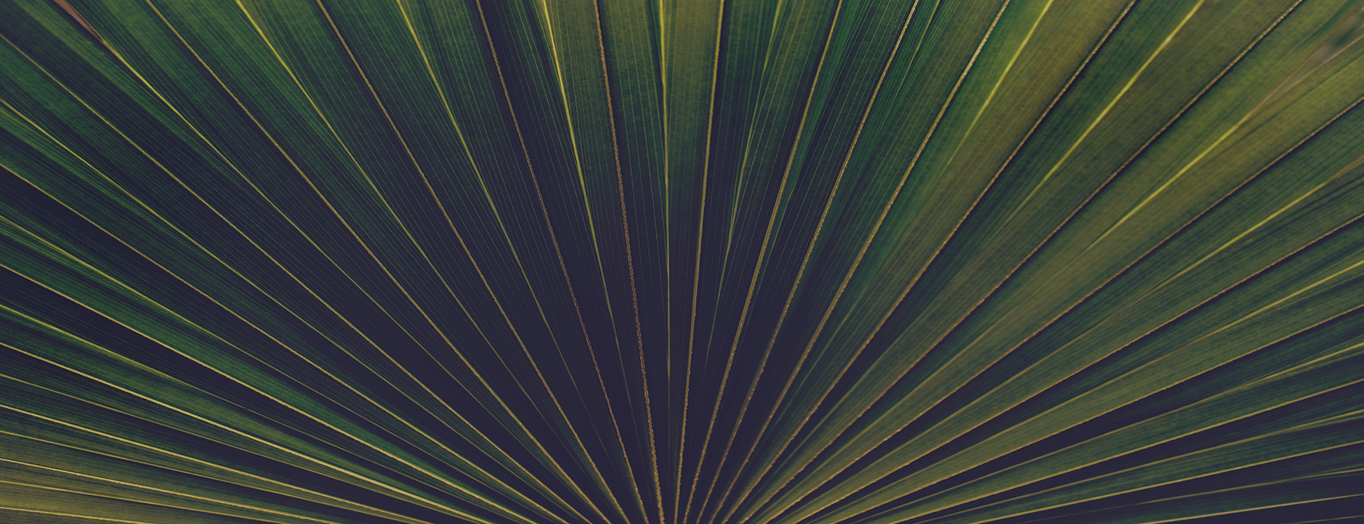 parallax background