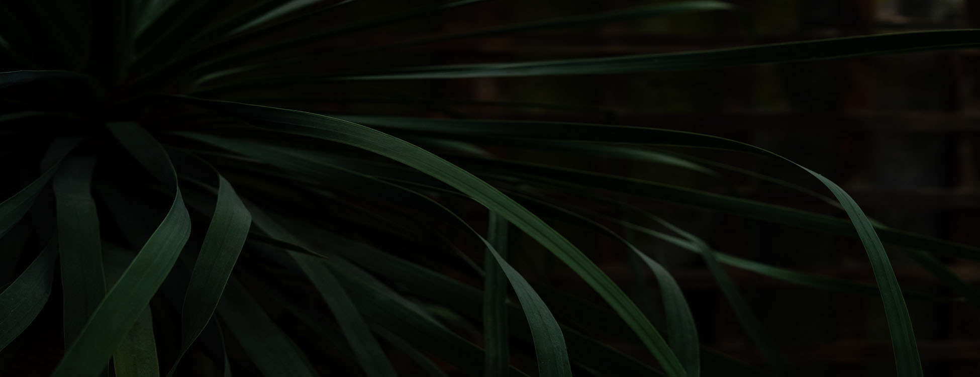 parallax background
