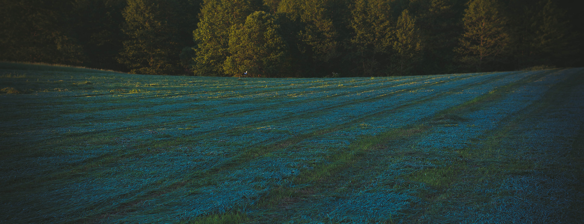 parallax background