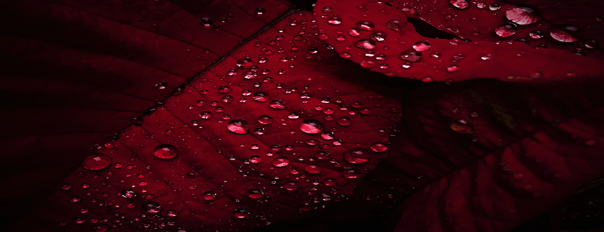 parallax background
