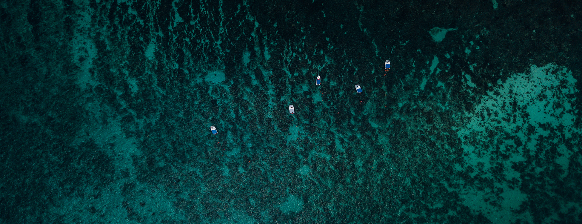 parallax background