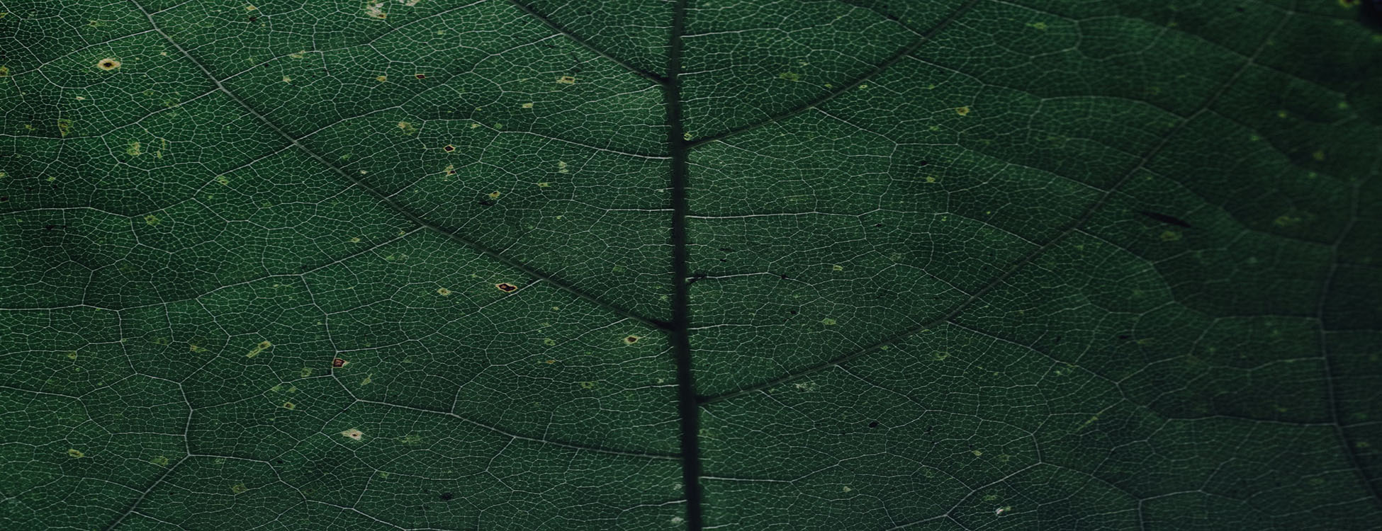 parallax background