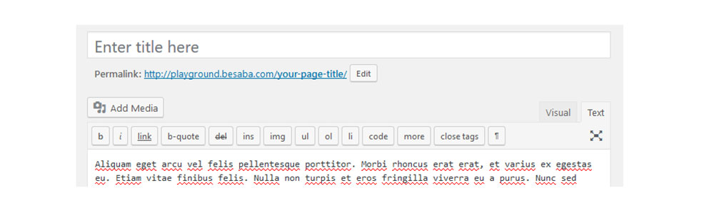 The-wrong-way-to-hide How to hide the page title in WordPress quickly