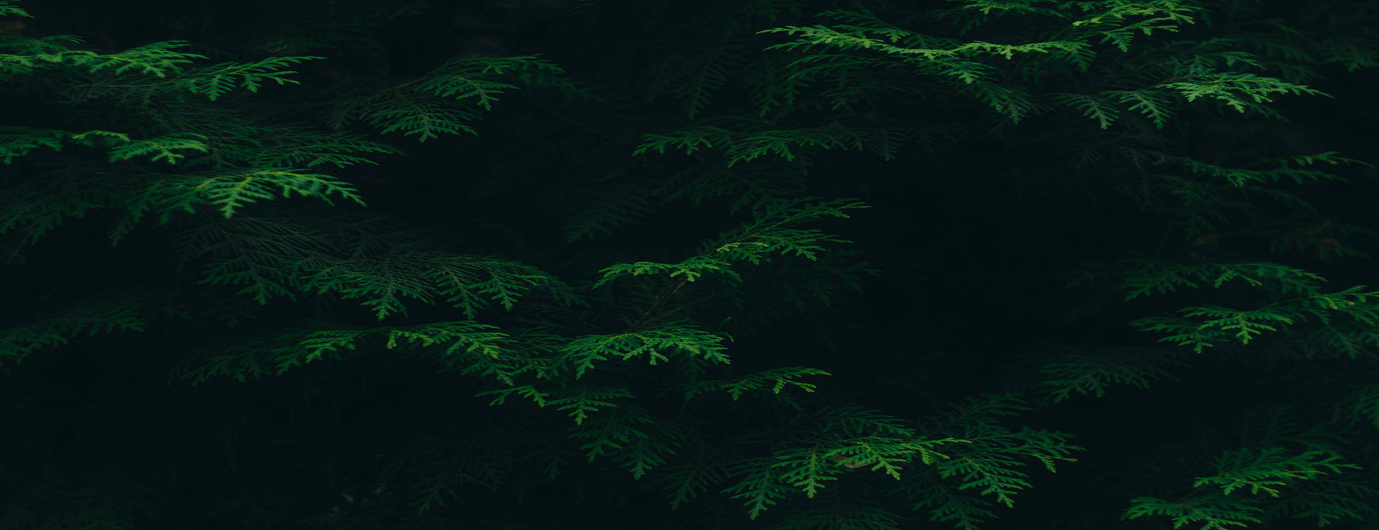 parallax background