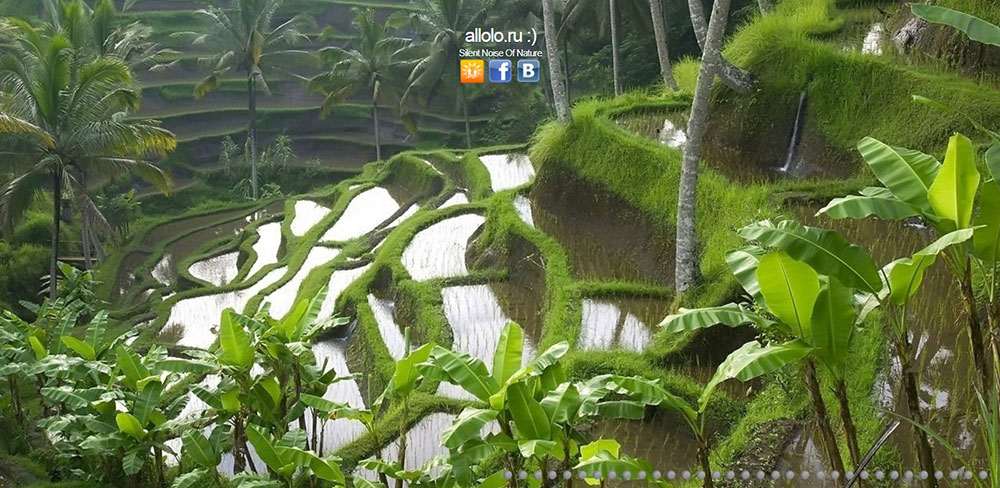 Allolo The best relaxing websites to calm you and relieve stress
