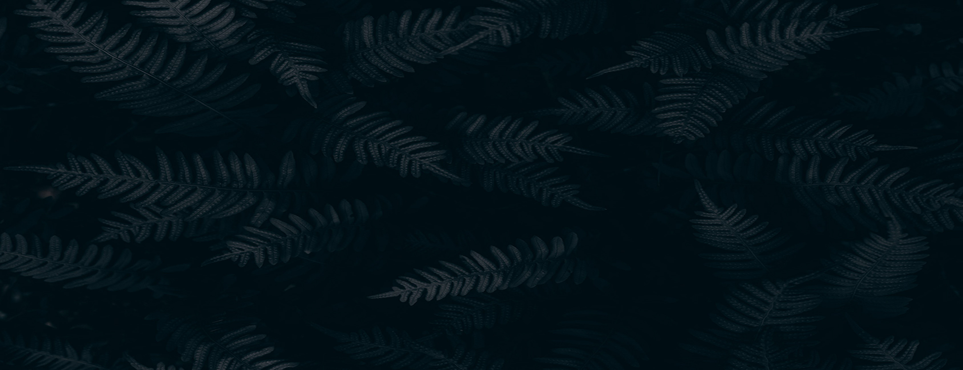 parallax background