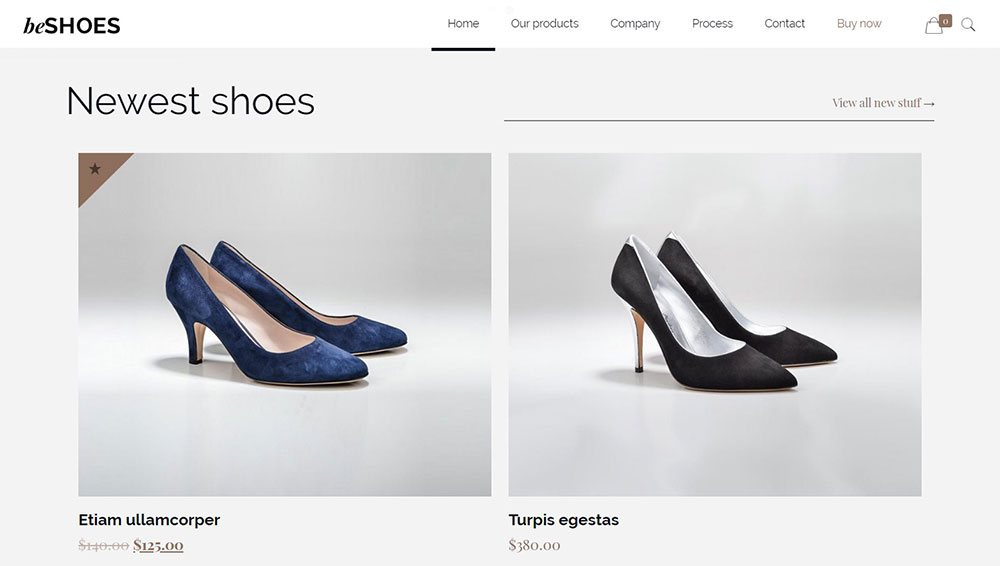 betheme2 WooCommerce websites that have amazing design and functionality