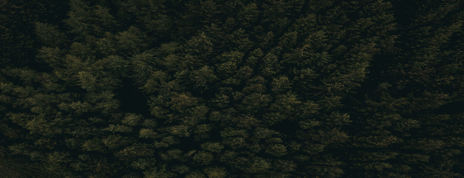 parallax background