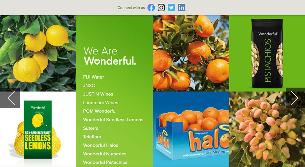 Wonderful Corporate Website Design Examples and WP Themes to Build Your Own