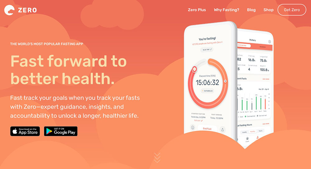 Zero-Fasting Corporate Website Design Examples and WP Themes to Build Your Own