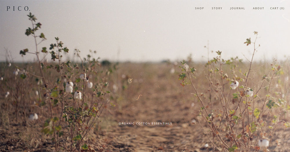 Pico Great Looking Websites With A Calm Color Palette