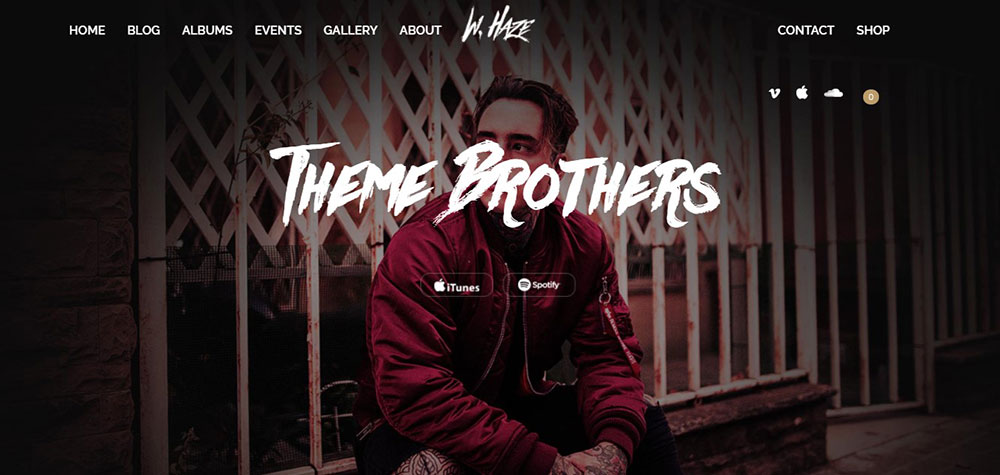 AQURA The Best WordPress Themes for Musicians to Choose From