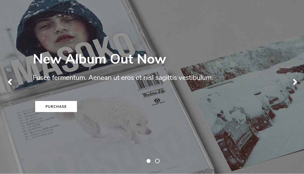 kayo The Best WordPress Themes for Musicians to Choose From