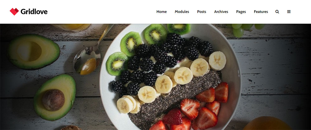 Gridlove Unique WordPress Themes That You Must Check Out