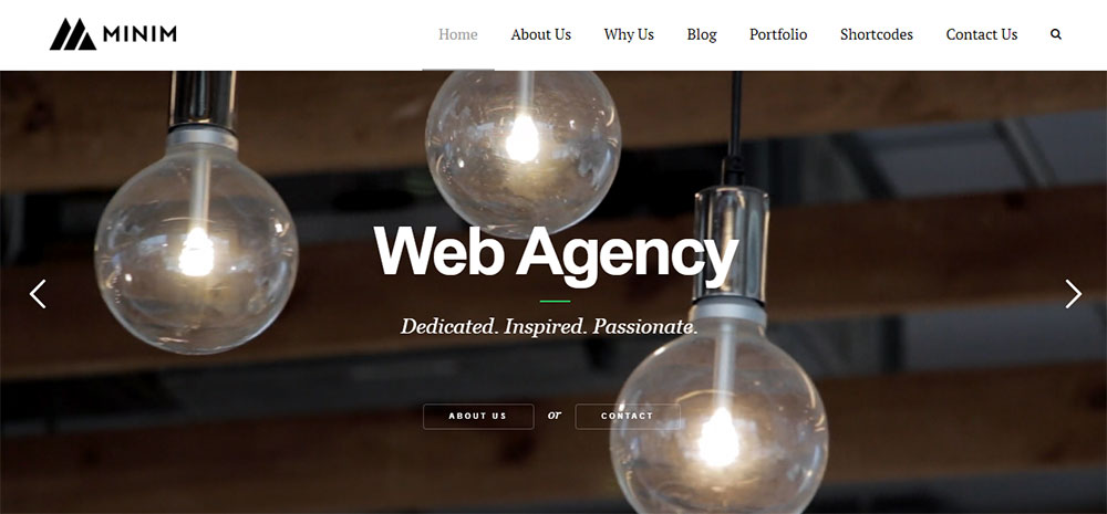 Minim Unique WordPress Themes That You Must Check Out