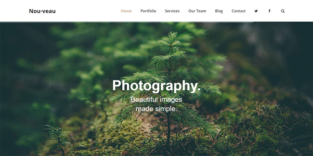 Total-Theme Unique WordPress Themes That You Must Check Out