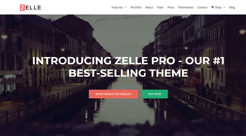 Zelle-Pro Unique WordPress Themes That You Must Check Out