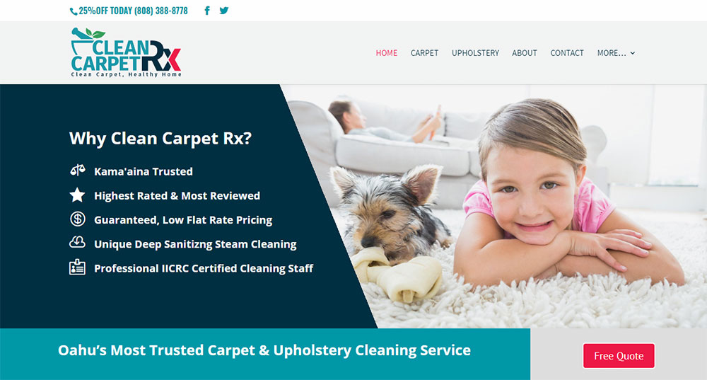 10 Best Carpet Cleaning Websites