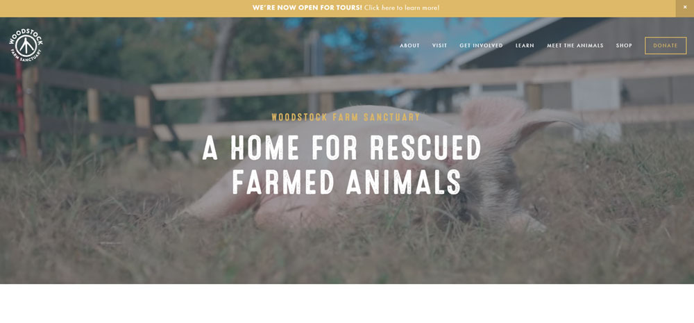 Woodstock-Farm-Sanctuary