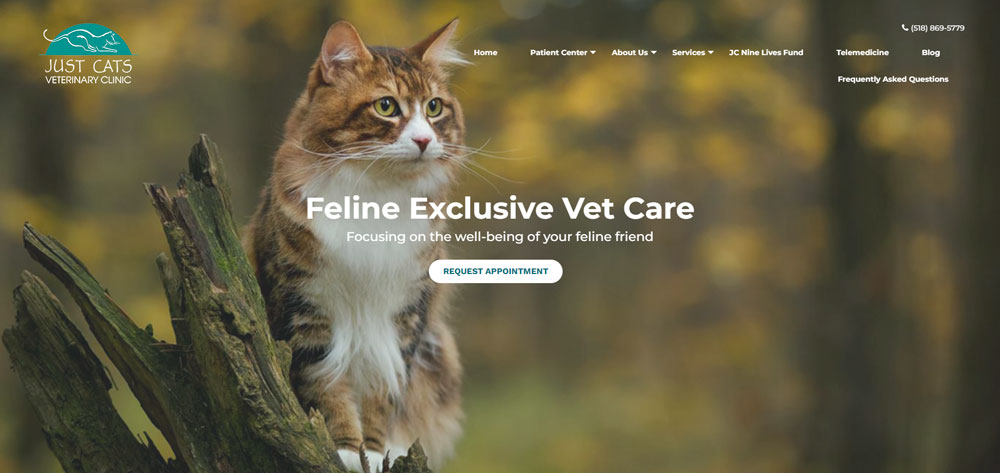 Just cats best sale vet clinic