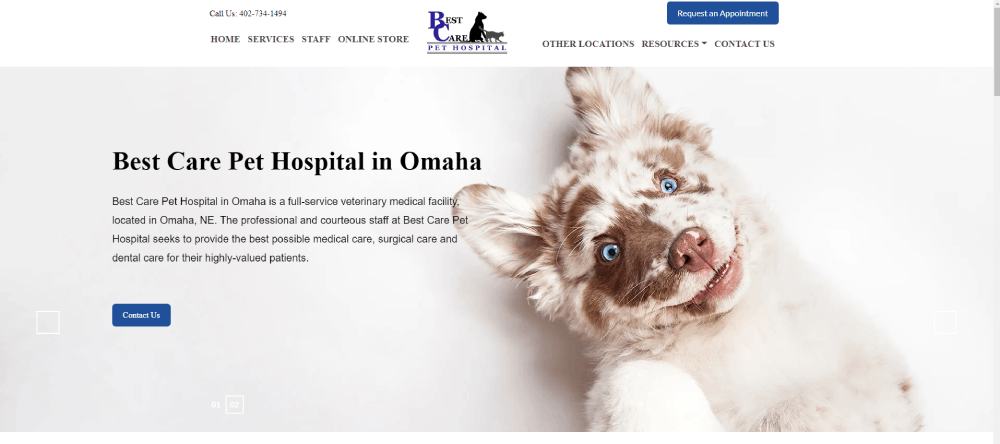 The Best Pet Care Website You'll See Today