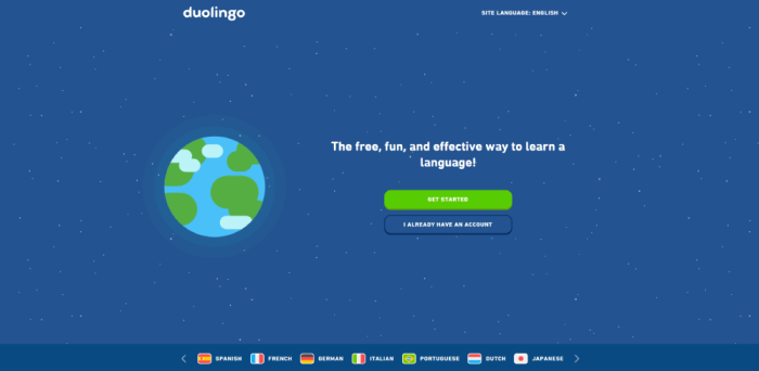 Innovative Educational Website Design Examples to Watch