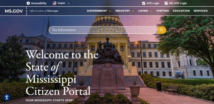 State Website User-Centric Government Website Design Examples