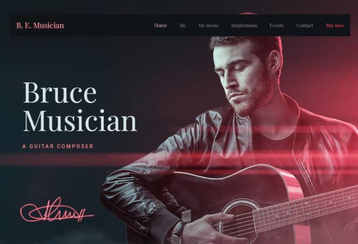 Top Entertainment Website Design Examples