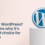 What is WordPress? 5 reasons why it’s the best choice for website